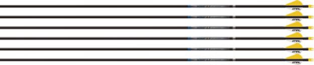 Picture of Easton Arrow Sonic 6.0 300 W/2" Bully Vanes 6-Pack