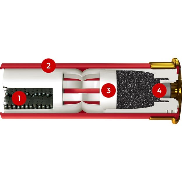 Picture of WIN AA SPR SPT 12GA 2-3/4" #8 25/250