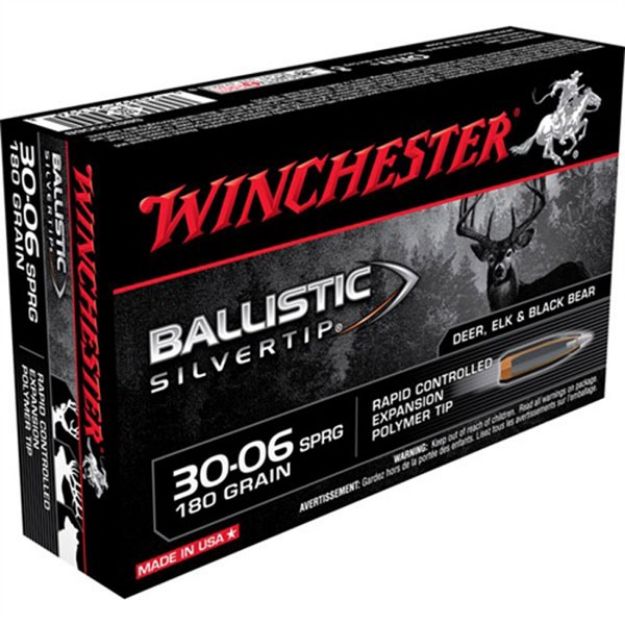 Picture of WIN BLSTC TIP 3006SP 180GR 20/200