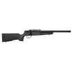 Picture of Rascal Target 22Lr Cmpt Black
