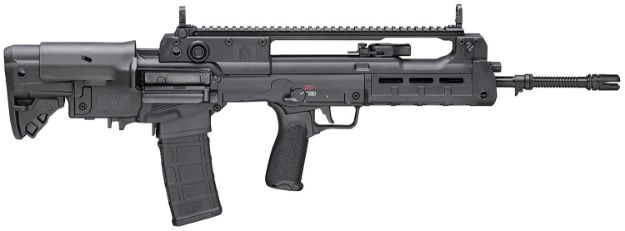 Picture of Hellion 5.56 Blk 20" 30+1