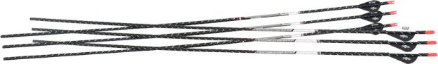 Picture of Easton Arrow Fmj 5Mm 340 W/ 2" Blazer Vanes 6-Pack