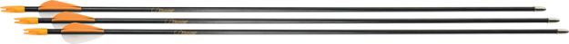 Picture of Bear Archery Youth Safetyglass Arrows 28" 3Pk