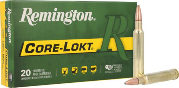 Picture of Remington 300 Wby Magnum 180Gr Core-Lokt Psp 20Rd 10Bx/Cs