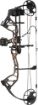 Picture of Bear Archery Compound Bow Royale Rth Rh Youth Moc Dna