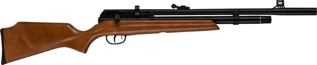 Picture of Beeman 1331 Pcp Radier .22 Cal Pellet Air Rifle 10 Shot