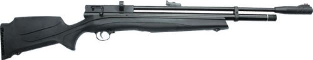 Picture of Beeman 1335 Pcp Chief Ii Plus .22 Pellet Air Rifle 10-Shot