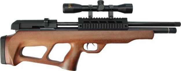 Picture of Beeman 1358 Pcp Underlever .22 Pellet Air Rifle 10-Shot