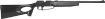 Picture of Daisy Winchester Model 77 .177 Bb & Pellet Pneumatic Rifle