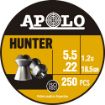 Picture of Hatsan Apolo 22 Hunter 18.5Gr 250 Pack