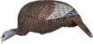 Picture of Flextone Thunder Chick Feeding Hen Decoy W/Stake