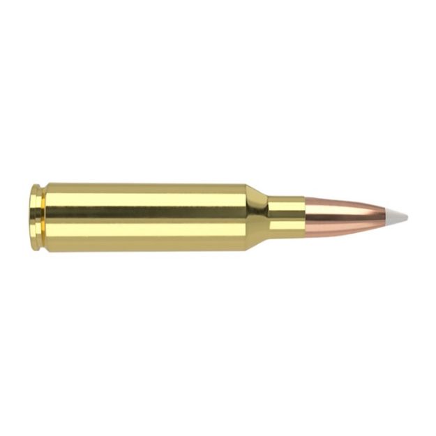 Picture of NOSLER 300WSM 180GR AB 20/200