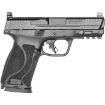Picture of S&W M&P 10Mm M2.0 4" Fs 15-Shot Armornite Finish Poly