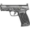 Picture of S&W M&P 10Mm M2.0 4" Fs 15-Shot Armornite W/Safety