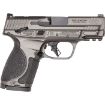 Picture of S&W M&P9 M2.0 Metal Compact 3.6" 9Mm 15-Rd Safety Grey