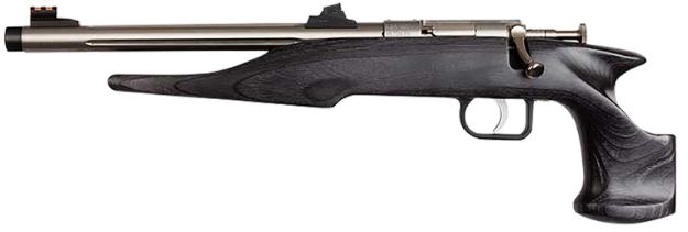 Picture of Chipmunk Pistol Hunter 22Lr Stainless/Black Lamnt Threaded