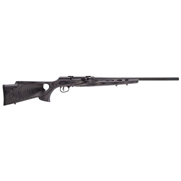 Picture of Savage A17 17Hmr Hvy Bbl 22" Accu Tgr Blu/Gry Lam T-Hole