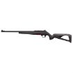 Picture of Winchester Wildcat 22Lr 18" Matte Blued Synthetic