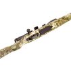 Picture of Savage 110 Apex Predator Xp 204 Ruger 20" Flut 4-12X44 Mo