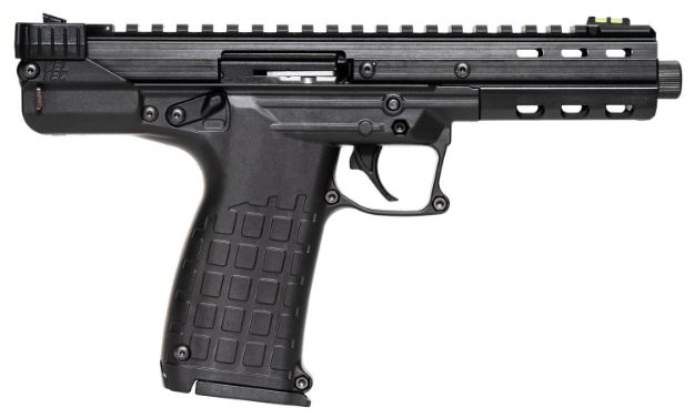 Picture of Kel-Tec Cp33 22Lr Black 33-Shot Fiber Optic Sights