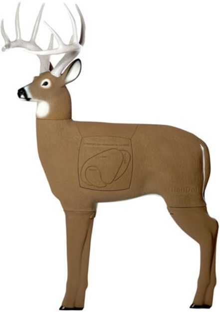 Picture of Glendel 3D Buck Target 48" W/4 Sided Insert Broadhead Rated
