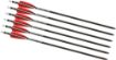 Picture of Tenpoint Xbow Arrow 16" Evo-X Center Punch Alpha Nock Hp 6Pk