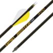 Picture of Gold Tip Arrow Hunter Pro 400 2" Raptor Vanes 1/2Doz