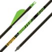 Picture of Gold Tip Arrow Hunter Xt 300 2" Raptor Vanes 1/2Doz