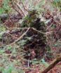 Picture of Titan Leafy Suit Mossy Oak Obsession Nwtf 2/3Xl Pants/Top