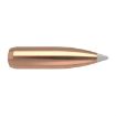Picture of Nosler Bullets .22 Cal .224 70Gr Accubond 50Ct