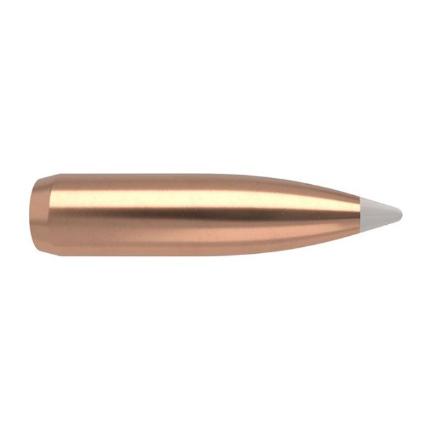 Picture of Nosler Bullets .22 Cal .224 70Gr Accubond 50Ct