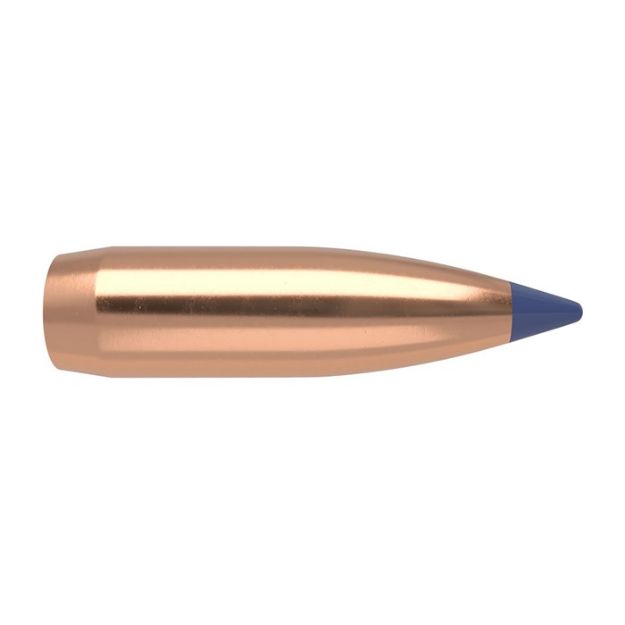 Picture of Nosler Bullets 8Mm .323 180Gr Ballistic Tip 50Ct