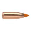 Picture of Nosler Bullets 22 Cal .224 50Gr Ballistic Tip 100Ct