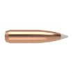 Picture of Nosler Bullets 25 Cal .257 110Gr Accubond 50Ct