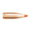 Picture of Nosler Bullets 22 Cal .224 55Gr Ballistic Tip 250Ct