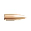Picture of Nosler Bullets 22 Cal .224 52Gr Hp-Bt Custom Comp. 250Ct!
