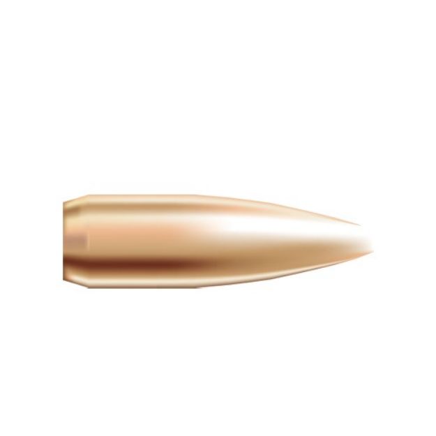 Picture of Nosler Bullets 22 Cal .224 52Gr Hp-Bt Custom Comp. 250Ct!