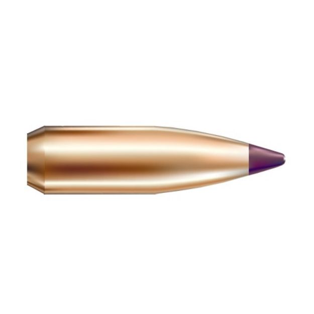Picture of Nosler Bullets 6Mm .243 55Gr Ballistic Tip 250Ct