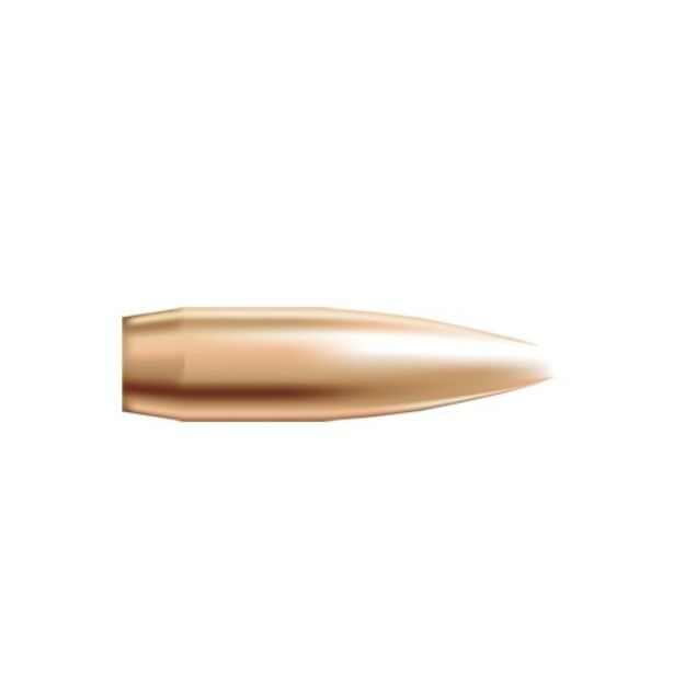 Picture of Nosler Bullets 22 Cal .224 69Gr Hp-Bt Custom Comp. 250Ct!