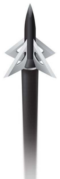 Picture of Slick Trick Broadhead Grizztrick 2 100Gr 1 1/4" 4Pk