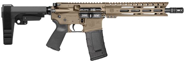 Picture of DBF DB15 300BLK 10" 30RD FDE BRACE