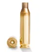 Picture of 260 Remington Brass  - Large Rifle Primer Pocket 100 Box