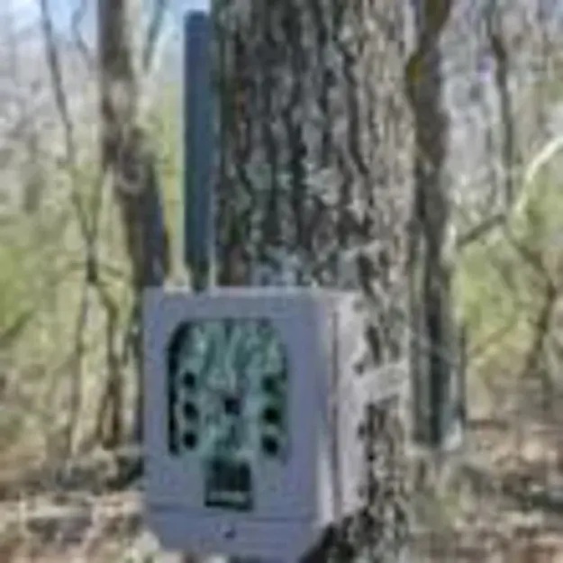 Picture of Trail Camera Accessory Security Box Cellular Tan