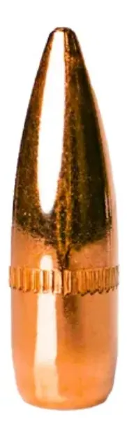 Picture of BERRYS 93300 223 .223 55GR FMJ 500