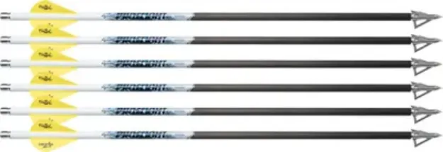 Picture of Excalibur Arrow Proflight 16.5" 6Pk (Fits Micro)