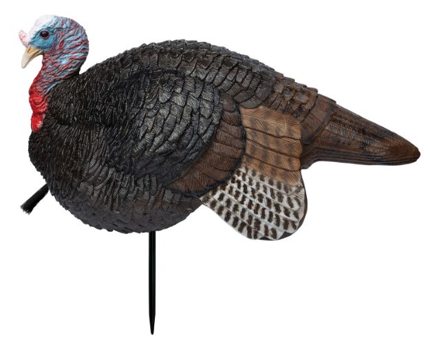 Picture of Primos Lil' Gobstopper Jake Turkey Species Multi Color 