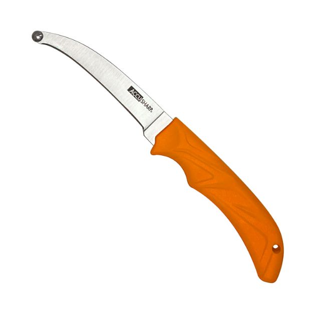 Picture of Accusharp Accuzip 4" Fixed Plain Stainless Steel/ Blade Blaze Orange Ergonomic Anti-Slip Rubber Handle 