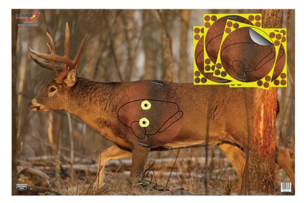 Picture of Birchwood Casey Eze-Scorer Whitetail Deer Target Self-Adhesive Paper Universal 2 Targets/Includes 4 Overlays 