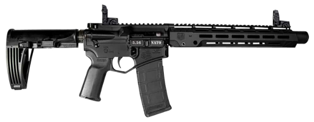 Picture of Diamondback Db15 5.56X45mm Nato 30+1 10", Black, Diamond Lower, 13" M-Lok Handguard, No Brace, Magpul K2+ Grip/Mbus Flip-Up Sights 