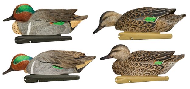 Picture of Avian X Topflight Teal Species Multi-Color 